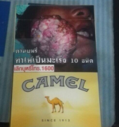 闸北烟草专卖局网上订货